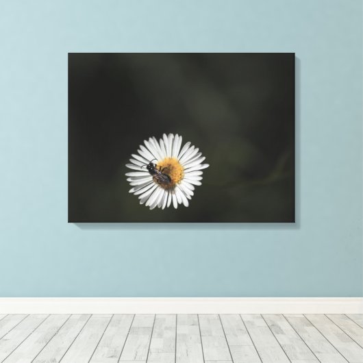 Toile Abeille cosmopolite (Insitu (Plancher de Bois))