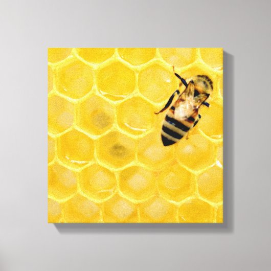 Toile abeille et nid d'abeille (Recto)