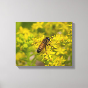 Toile Abeille jaune Maleny 2016 de fleur et de miel