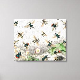 Toile Abeille Reine Entomologie Botanique Vintage