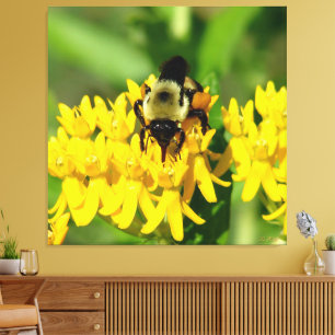 Toile Abeille se régalant de fleurs sauvages d'asclépiad