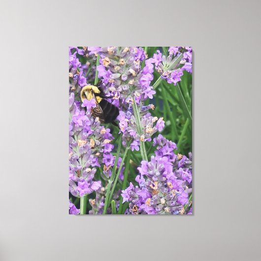 Toile Abeille sur fleur de lavande (Recto)