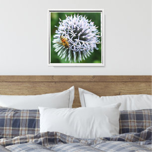 Toile Abeille sur fleur d'Echinops