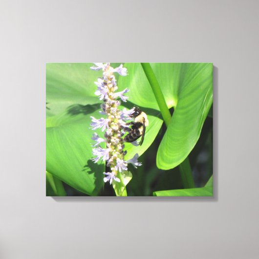 Toile Abeille sur une fleur (Recto)