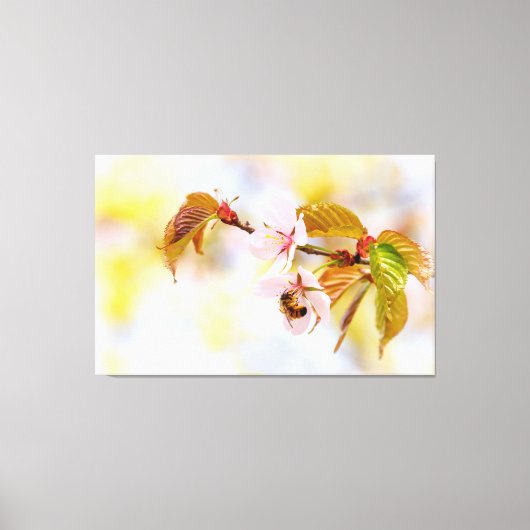Toile Abeille Sur Une Fleur De Cerise (Recto)