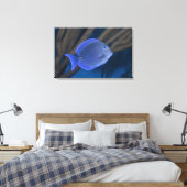 Toile Acanthurus coeruleus avec la mer (Insitu(Chambre))