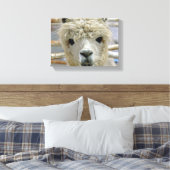 Toile Adorable (Insitu(Chambre))