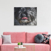 Toile Adorable Cairn Terrier (Insitu(Salon))