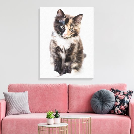 Toile Adorable Calico Kitten (Insitu(Salon))