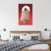Toile adorable chien Komondor (Insitu(Chambre))