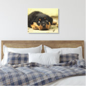 Toile Adorable Rottweiler Puppy (Insitu(Chambre))