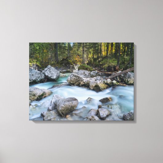 Toile Affaire Torrent Ramsauer (Recto)