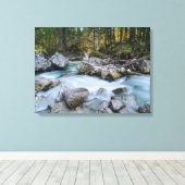 Toile Affaire Torrent Ramsauer (Insitu (Plancher de Bois))