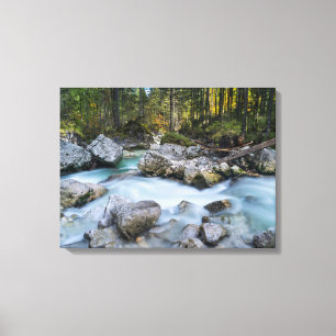 Toile Affaire Torrent Ramsauer