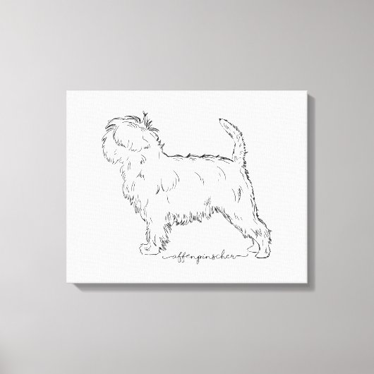 Toile Affenpinscher sketch (Recto)