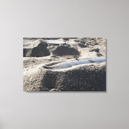 Toile Affichage statique d'une coque de commande (Recto)