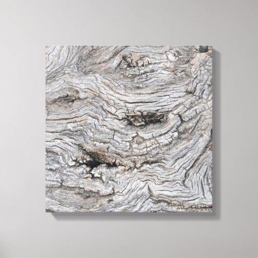 Toile Affiche de texture d'écorce d'olivier ancien (Recto)