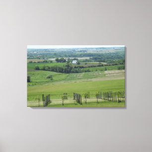 Toile Affiche de vignoble Grapevine à Platteville, Wisc