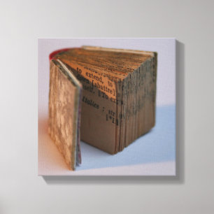 Toile Affiche du livre miniature DicofrAngle Français-An