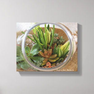 Toile Affiche succulente de mini-serre par Debra Lee