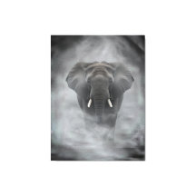 African Elephant in Misty Fog Serene Impasto