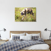 Toile African Wild Dog, Madikwe Game (Insitu(Chambre))