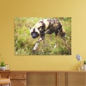 Toile African Wild Dog, Madikwe Game (Insitu(Salon))
