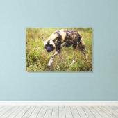 Toile African Wild Dog, Madikwe Game (Insitu (Plancher de Bois))
