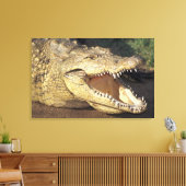 Toile Afrique, Afrique du Sud crocodile du Nil (Insitu(Salon))