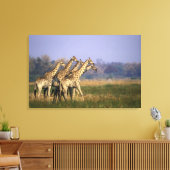 Toile Afrique, Botswana, Réserve de jeu de Moremi (Insitu(Salon))