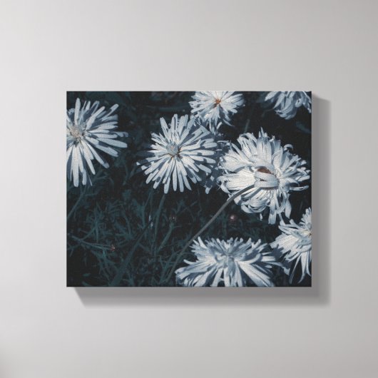 Toile Afrique du Sud Fleurs vert pâle et blanc (Recto)
