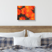 Toile Afrique du Sud Vert Orange Fleurs Succulentes (Insitu(Chambre))