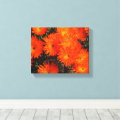 Toile Afrique du Sud Vert Orange Fleurs Succulentes (Insitu (Plancher de Bois))