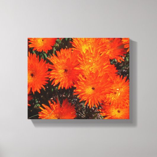 Toile Afrique du Sud Vert Orange Fleurs Succulentes (Recto)