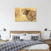 Toile Afrique. Kenya. Cheetah à Samburu NP. (Insitu(Chambre))
