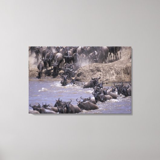 Toile Afrique, Kenya, Parc national du Masaï Mara. (Recto)