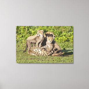 Toile Afrique. Tanzanie. Guépère mère et petits