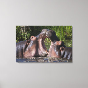 Toile Afrique. Tanzanie. Hippopotame en combat
