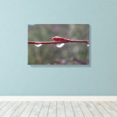 Toile After the Rain (Insitu (Plancher de Bois))