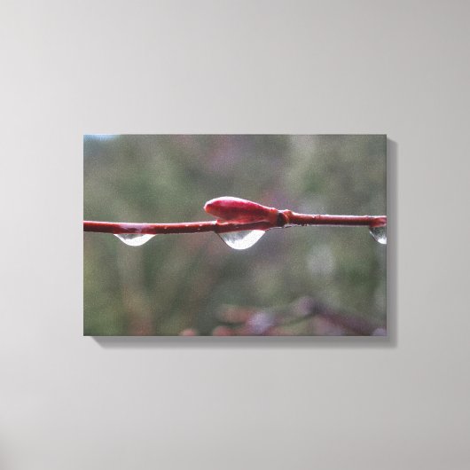 Toile After the Rain (Recto)