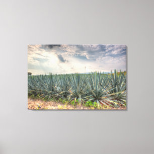 Toile Agave bleue