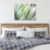 Toile Agave 'Blue Glow' par Debra Lee Baldwin (Insitu(Chambre))