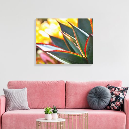 Toile Agave 'Blue Glow' par Debra Lee Baldwin (Insitu(Salon))