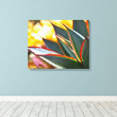 Toile Agave Blue Glow photo succulente Debra Lee Baldwin (Insitu (Plancher de Bois))