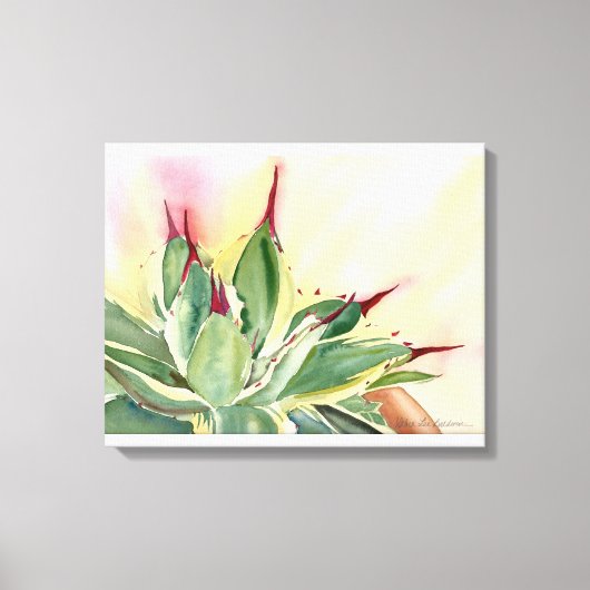 Toile Agave naine variée (Recto)