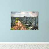 Toile Agave Tequilana (Insitu (Plancher de Bois))