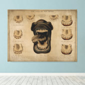 Toile Âge de la bouche de cheval Dents Etching Aquarelle (Insitu (Plancher de Bois))