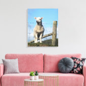 TOILE AGNEAU CUIT (Insitu(Salon))