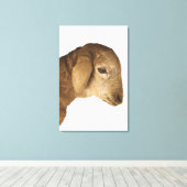 Toile Agneau domestique (Insitu (Plancher de Bois))