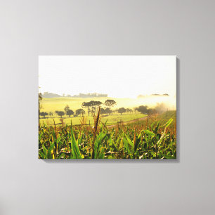 Toile Agriculture Brésil